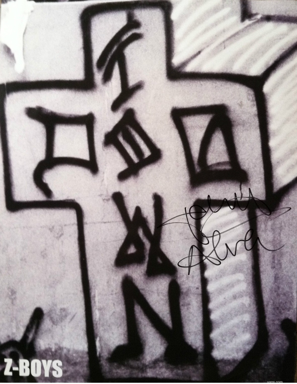 Dogtown.jpg